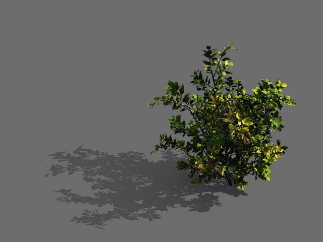 Game Models – Forest – Shrubs 05 3D Model