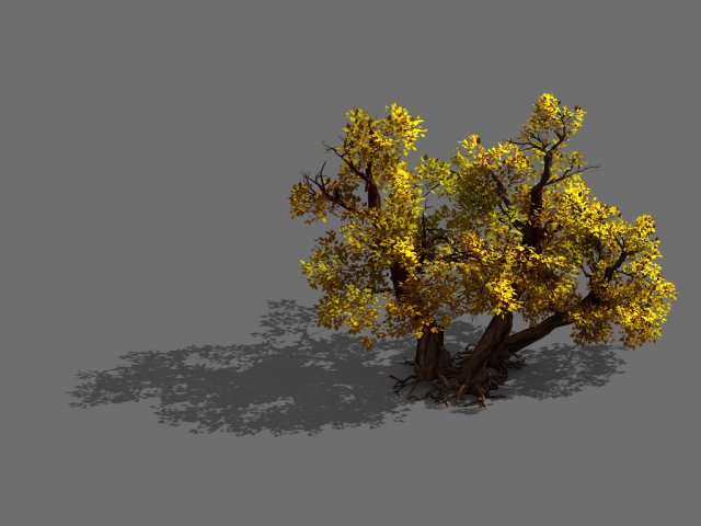 Game Models – Forest – Shrubs 11 3D Model