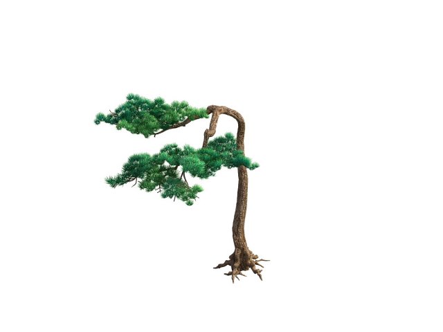 Game Model – Taoist comprehension scene – Pine 09 3D Model