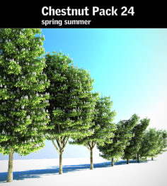 3D model Chestnut Pack 24 3D Model