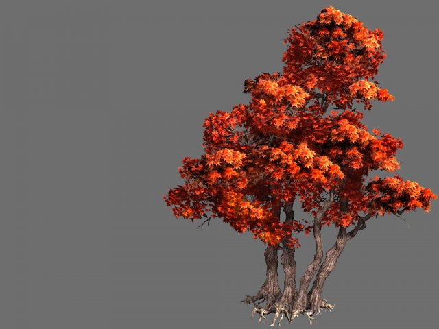 Game Model – Forest – Maple Tree 7 3D Model