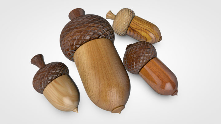 Wooden Acorn 3D 3D Model