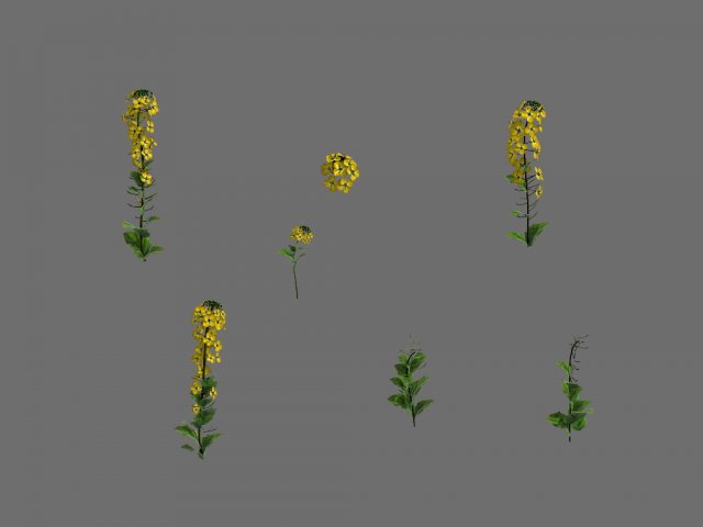 Game Model – Forest – Flowers 02 3D Model