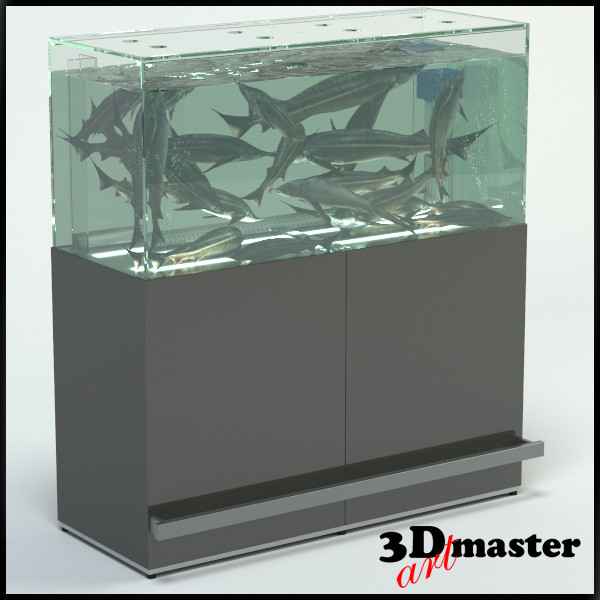 3D Fish(Sturgeon) Aquarium For Supermarket 3D Model