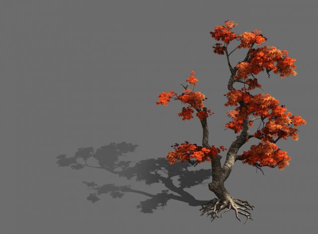 Game Model – Forest – Maple 5 3D Model