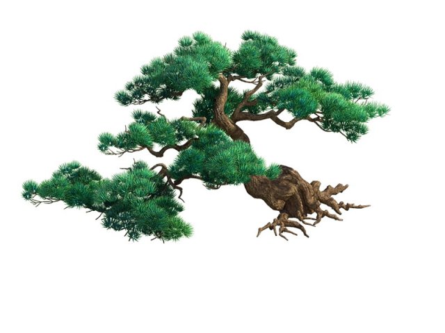 Game Model – Taoist comprehension scene – Pine 04 3D Model