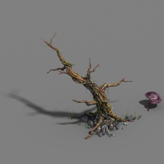 Plant – dead tree 3D Model