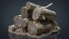 Wooden Logs 3D Model