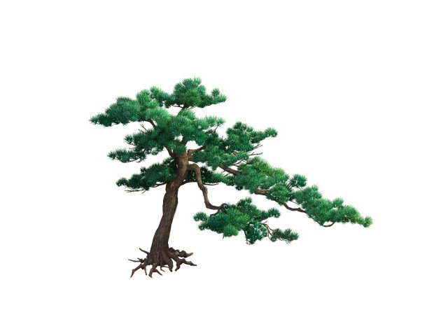 Game Model – Taoist comprehension scene – Pine 06 3D Model