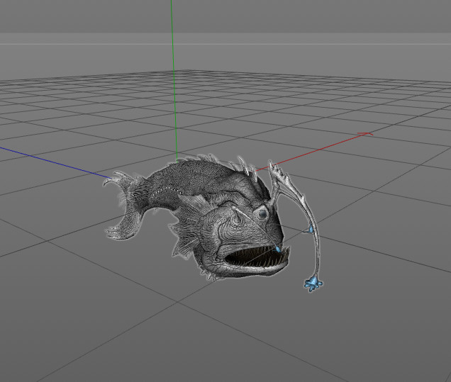 Angler Fish 3D Model