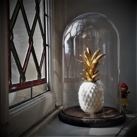 ANANAS 3D Print Model