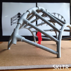 SKELETOR 3D Print Model
