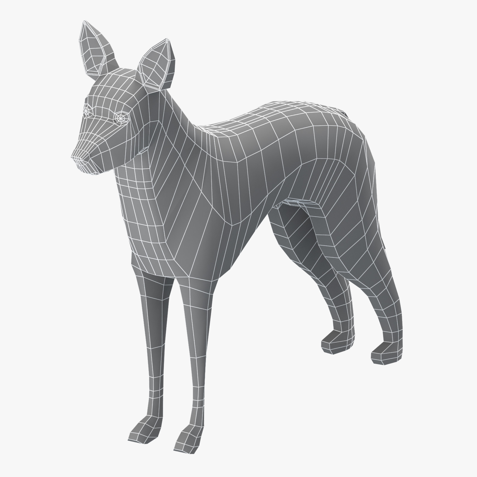Koolie Base Mesh 3D Model
