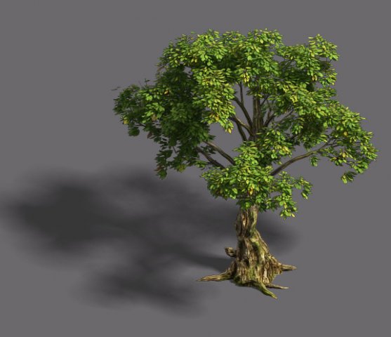 Forest – Tree 20 3D Model