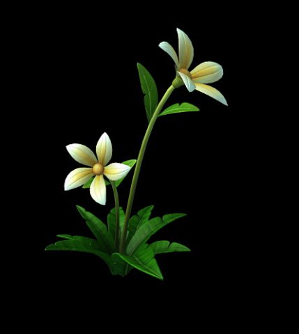 Wild plants – flowers 04 3D Model