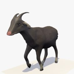 Animated Single Goat Walking 3D model 3D Model