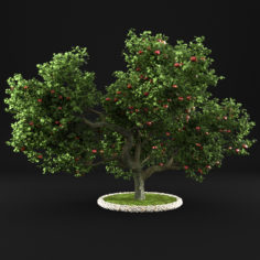 Apple Tree 15 3D model 3D Model