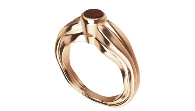 Ring with wood 3D Model