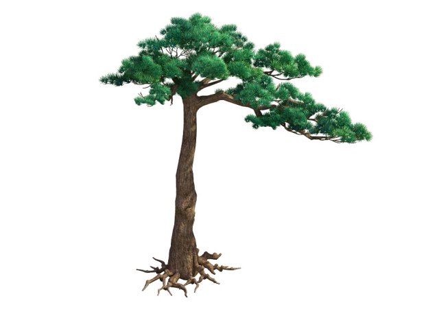 Game Model – Taoist comprehension scene – Pine 07 3D Model