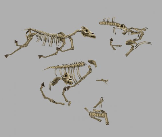 Game Model Arena – horse bones 01 3D Model