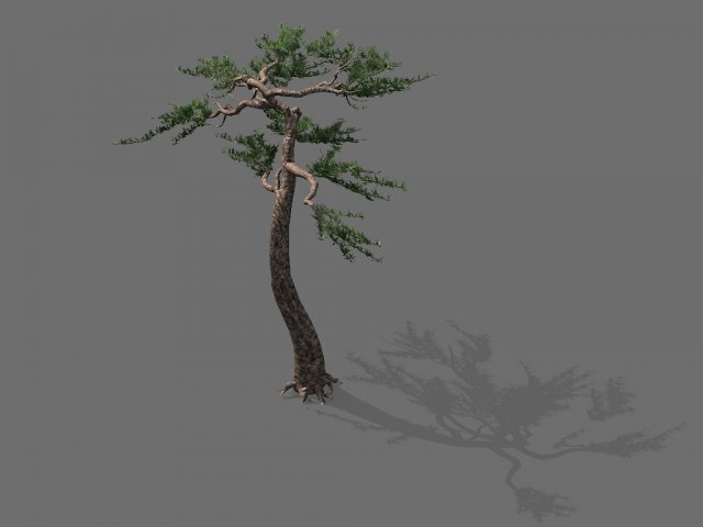 Game model – Alpine – Pine 03 3D Model