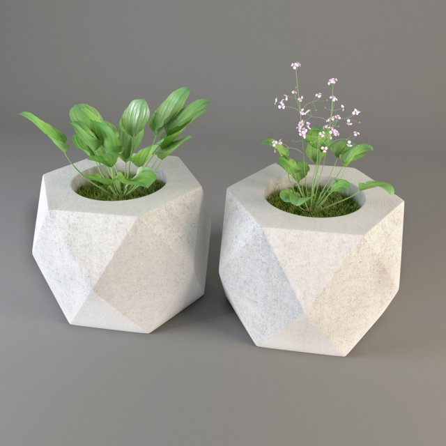 Plant 3D Model