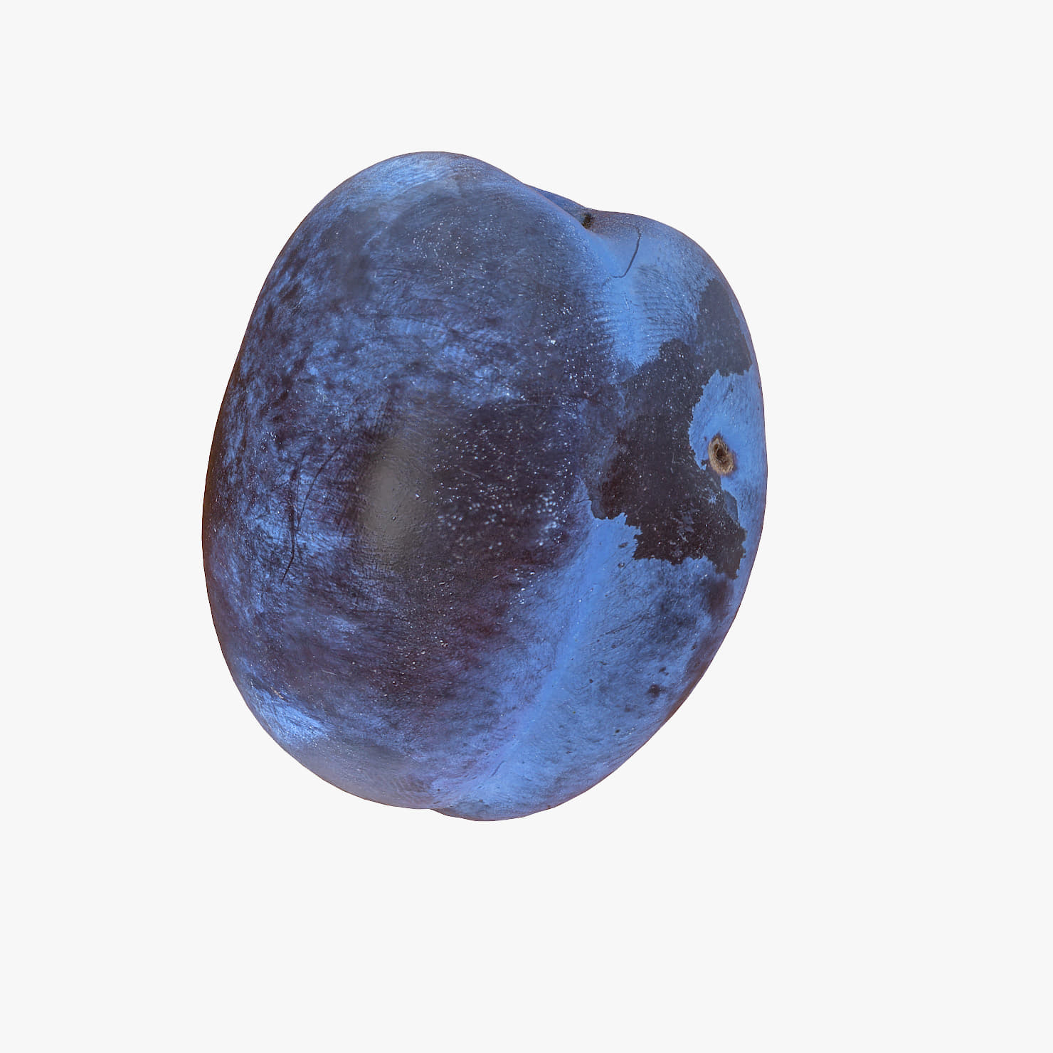 3D Plum Realistic 03 3D Model