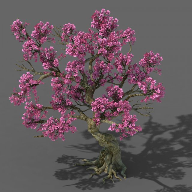 Forest – Peach Tree 05 3D Model