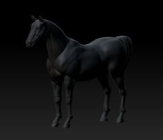 3D Horse model 3D Model