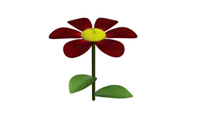 Red flower 3D model 3D Model