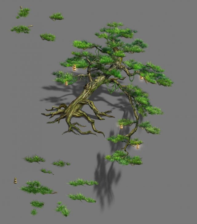 Zen – cliff pine 3D Model