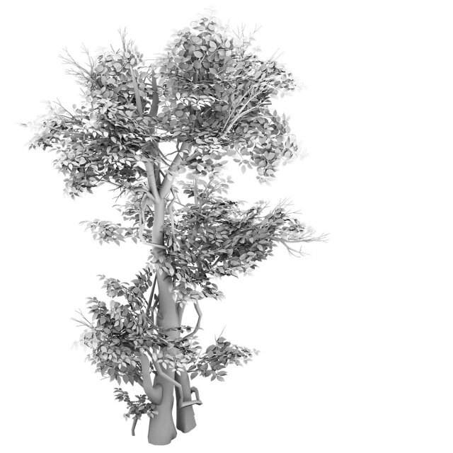 Plant – banyan tree 04 3D Model