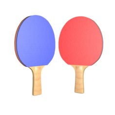 3D Ping Pong Paddle 3D Model