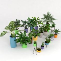 Plants collection 3D Model