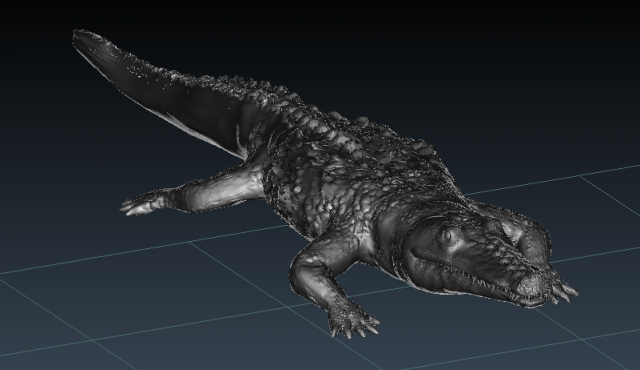 Crocodile 3D Model