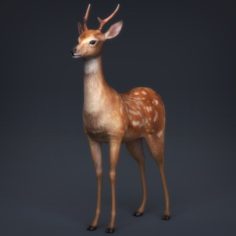 Low Poly Realistic Deer 3D Model