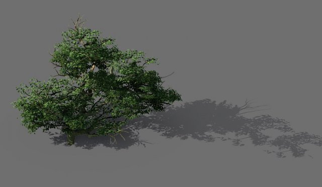 Game Model – Forest – Shrub 14 3D Model