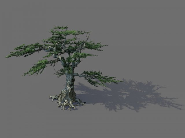 Game Model – Alpine – Pines 04 3D Model