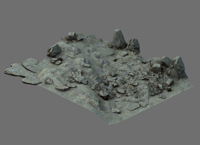 Field – stone surface 3D Model