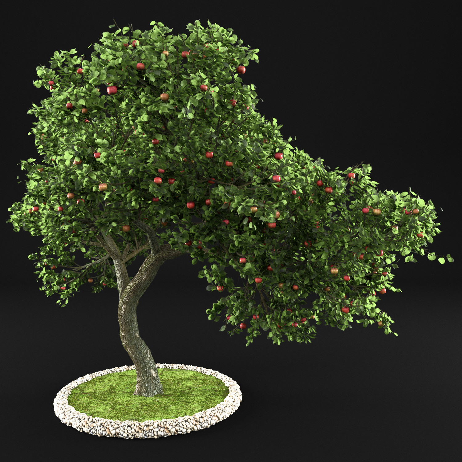 Tree 3d model. Яблоня 3д. Яблоня референс. Яблоня 3д Макс. Яблоня 3d модель.