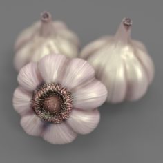 3D Realistic Garlic with Low Poly Version 3D Model