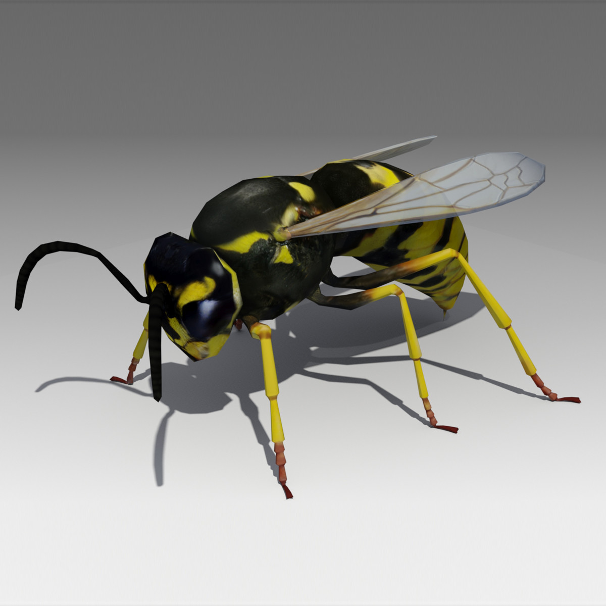 Wasp 3D Model