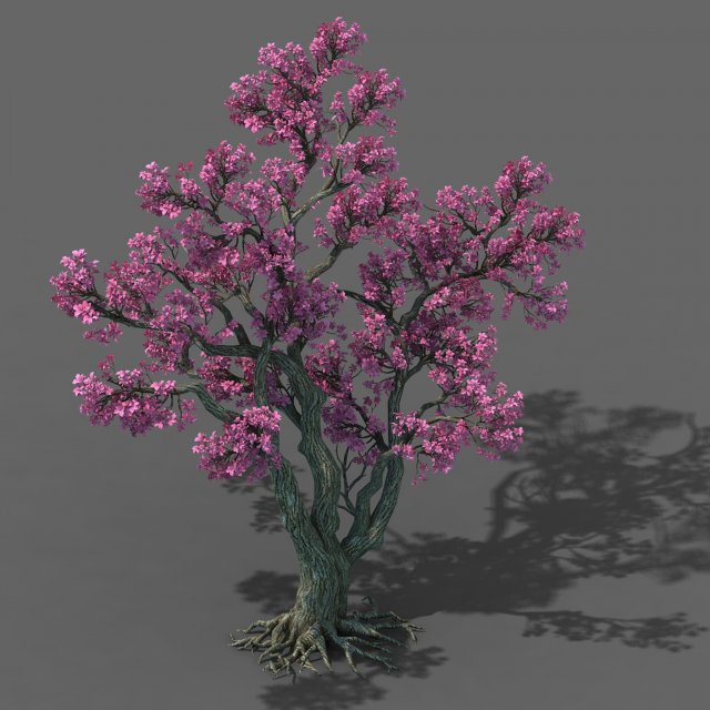 Forest – Peach Tree 03 3D Model