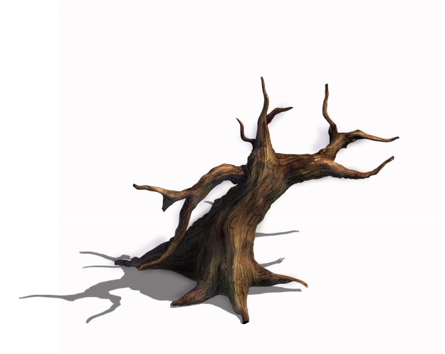 Desert – dead tree 12 3D Model