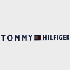 Tommy hilfiger logo 3D Model