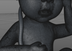 Asian Fetus 3D Model