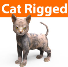 cute cat rigged 3D Model