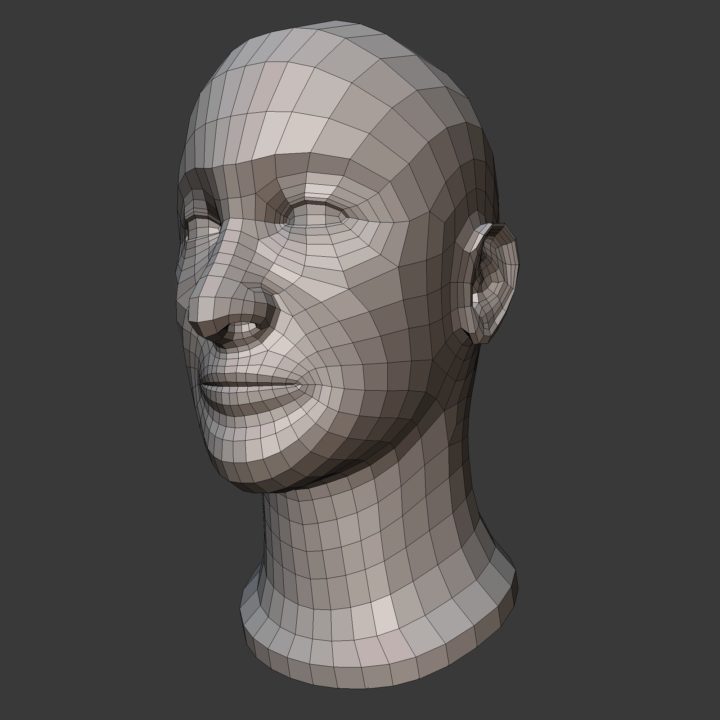 Male Head Basemesh 3D model 3D Model