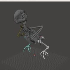 Macow Skeleton 3D Print Model