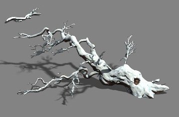 Snow – fallen to the ground 3D Model